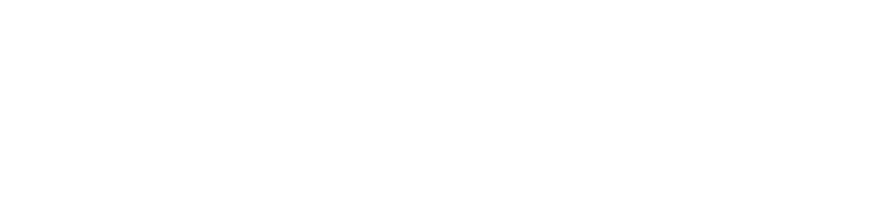 staytouch logo
